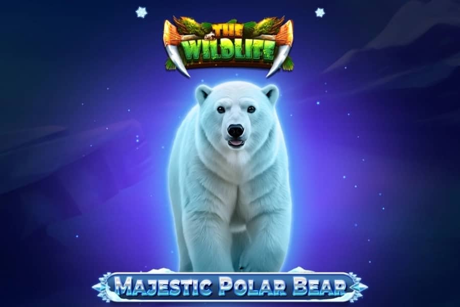 Majestic Polar Bear slot preview