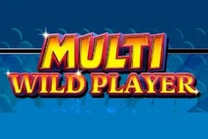 Multi Wild Player slot preview