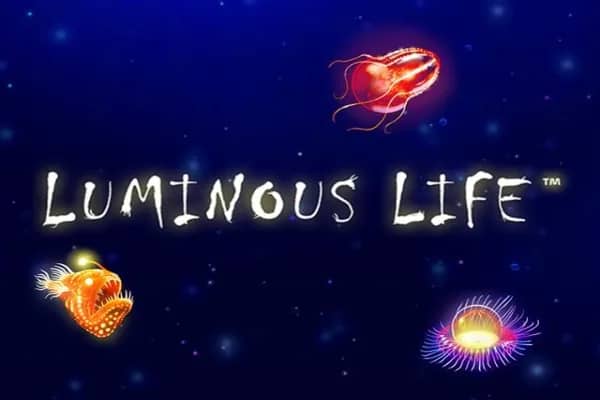 Luminous Life slot preview