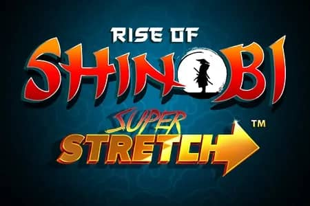 Rise of Shinobi slot preview