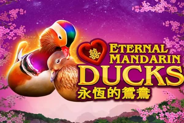 Power Prizes - Eternal Mandarin Ducks slot preview