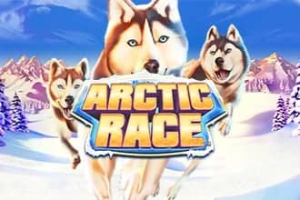 Arctic Race slot preview