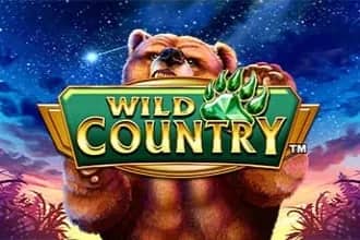 Wild Country slot preview