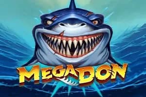 Mega Don slot preview