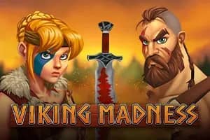 Viking Madness slot preview