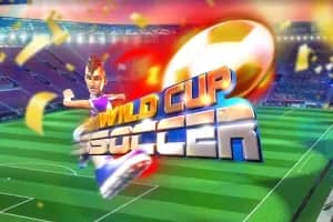 Wild Cup Soccer slot preview