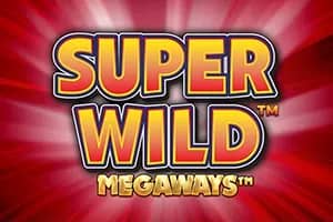 Super Wild Megaways slot preview