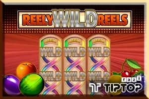 Reely Wild Reels slot preview