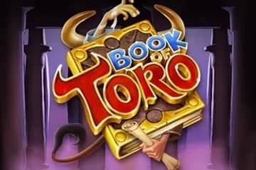 Book of Toro slot preview