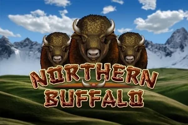 Northern Buffalo slot preview
