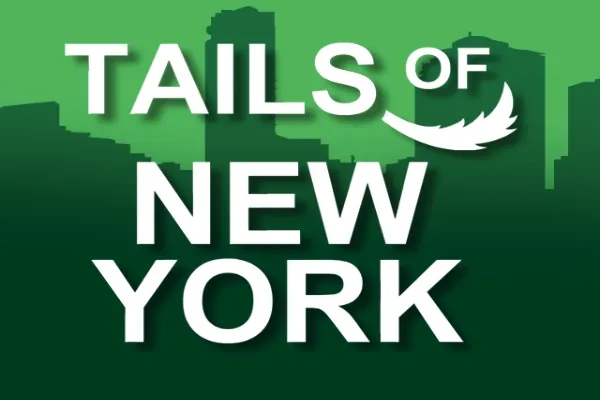 Tails Of New York slot preview