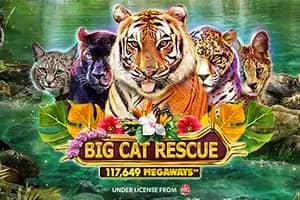 Big Cat Rescue Megaways slot preview