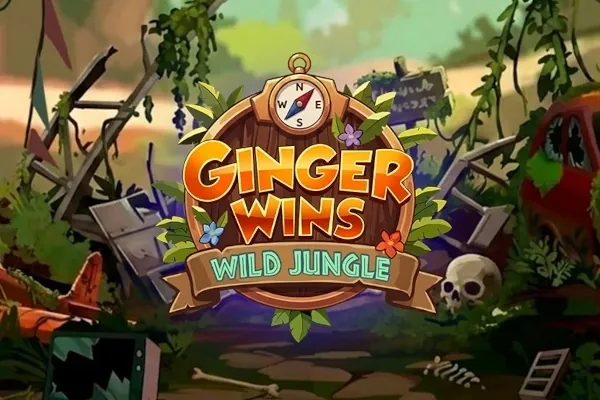 Ginger Wins