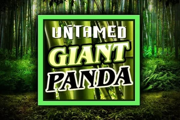 Untamed Giant Panda slot preview