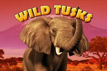 Wild Tusks slot preview