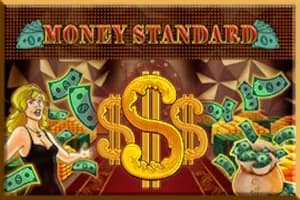 Money Standard slot preview