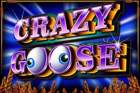 Crazy Goose slot preview