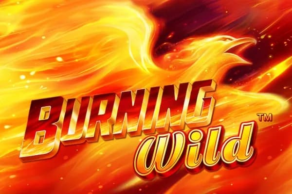 Burning Wild slot preview