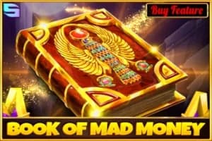 Book of Mad Money slot preview
