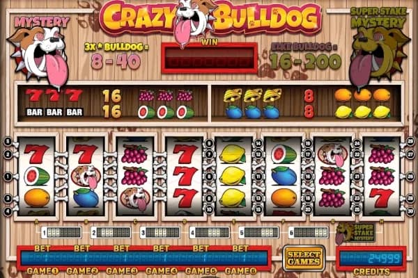 Crazy Bulldog slot preview