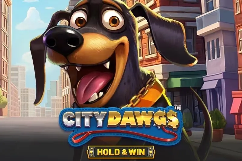 City Dawgs - Hold & Win slot preview