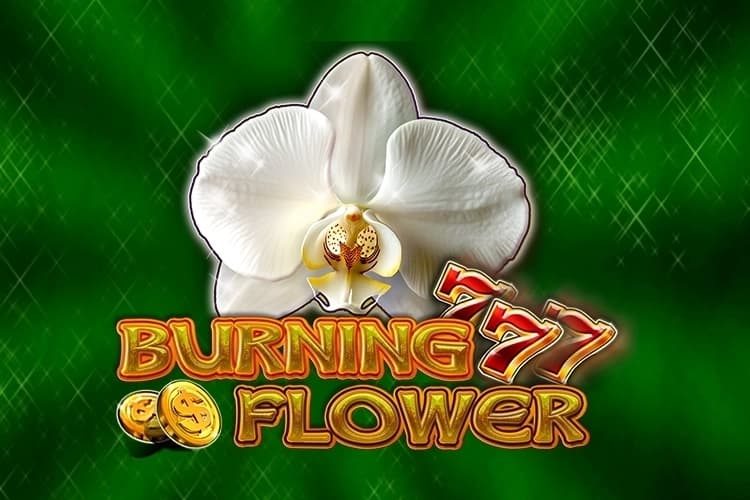 Burning Flower slot preview