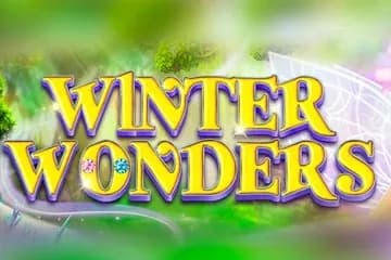Winter Wonders