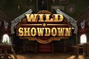 Wild Showdown slot preview