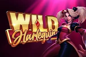Wild Harlequin slot preview