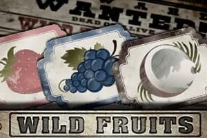 Wild Fruits