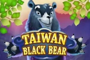 Taiwan Black Bear slot preview