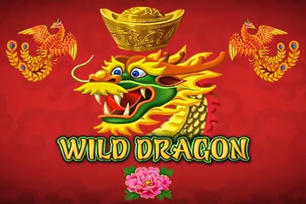 Wild Dragon slot preview