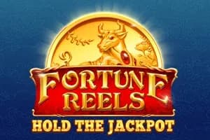 Fortune Reels slot preview