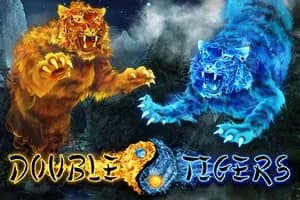 Double Tigers slot preview