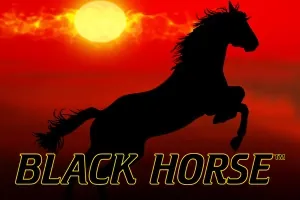 Black Horse slot preview