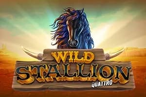 Wild Stallion Quattro slot preview