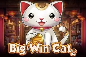 Big Win Cat slot preview