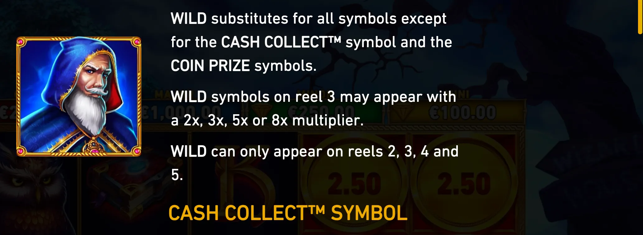 Dark fantasy slot rules panel featuring a blue-hooded wizard portrait, bold white text describing WILD substitutions, reel positions, multipliers, and the CASH COLLECT symbol.