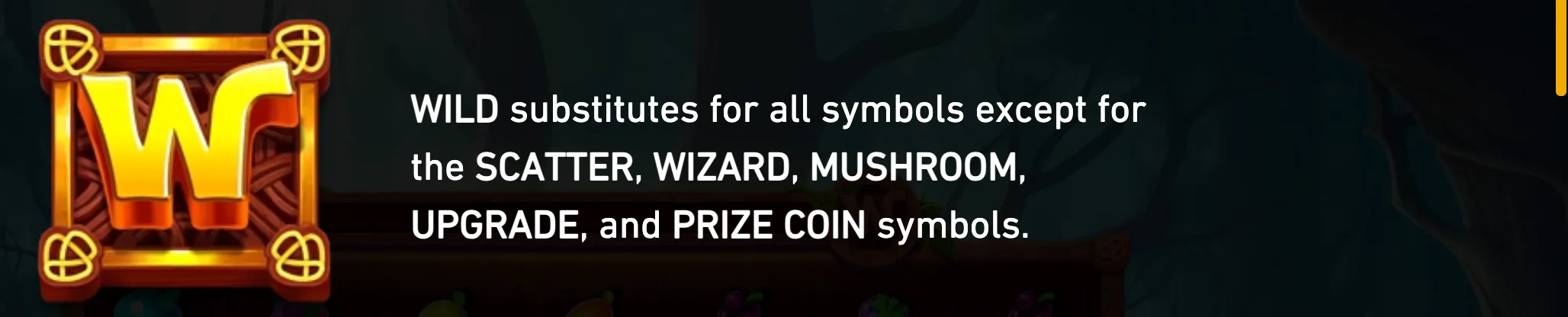 Wizzy Trix slot preview featuring a large golden WILD symbol in an ornate wooden frame against a dark wizard-themed backdrop, with text explaining its substitutions.