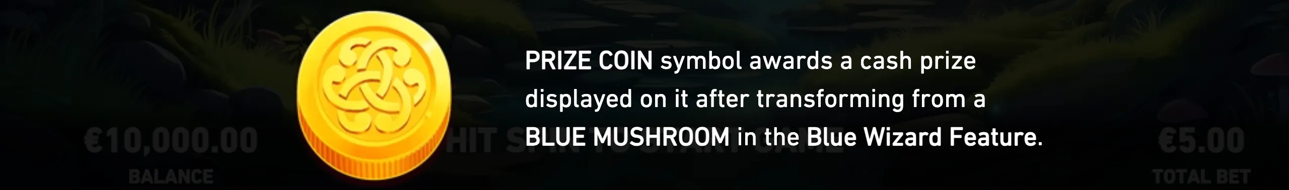 Wizzy Trix slot feature panel with a large golden Celtic-style prize coin and text explaining its transformation from a blue mushroom during the Blue Wizard Feature.