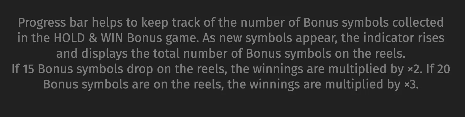 Text-based feature explanation for Wild Tiger 2 describing the Bonus symbol progress bar in the HOLD & WIN bonus game, including x2 and x3 winning multipliers.