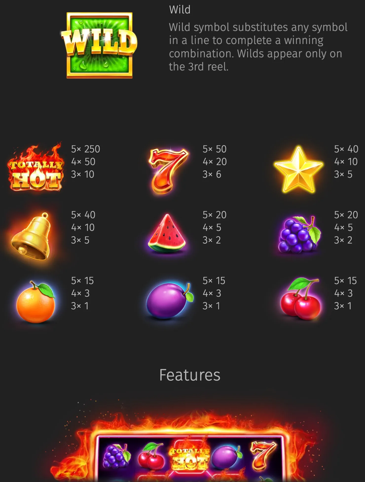 Totally Hot slot symbol guide with a fiery logo, golden Wild symbol, classic fruit icons, payout values, and a reel feature illustration.