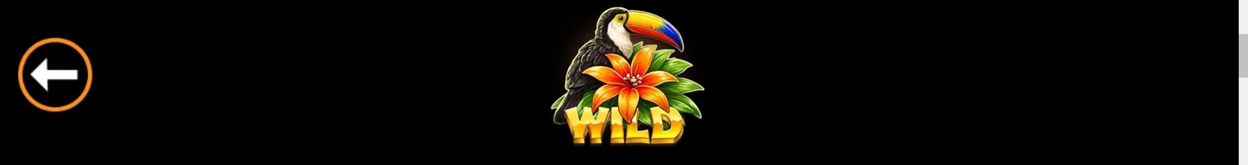 A colorful toucan perched among orange tropical flowers and green leaves above a golden WILD label on a black backdrop.