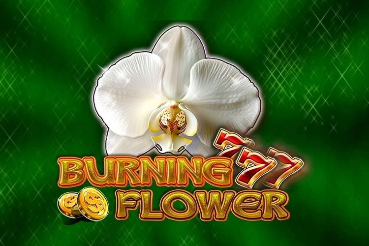 Burning Flower slot preview