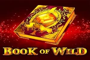 Book of Wild slot preview
