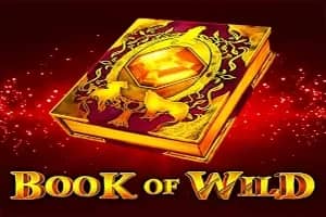 Book of Wild slot preview