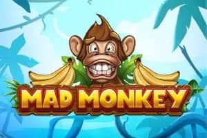 Mad Monkey slot preview