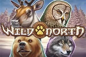Wild North slot preview