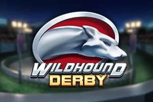 Wildhound Derby slot preview