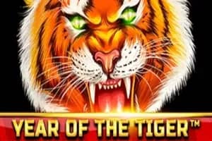 Year of the Tiger slot preview